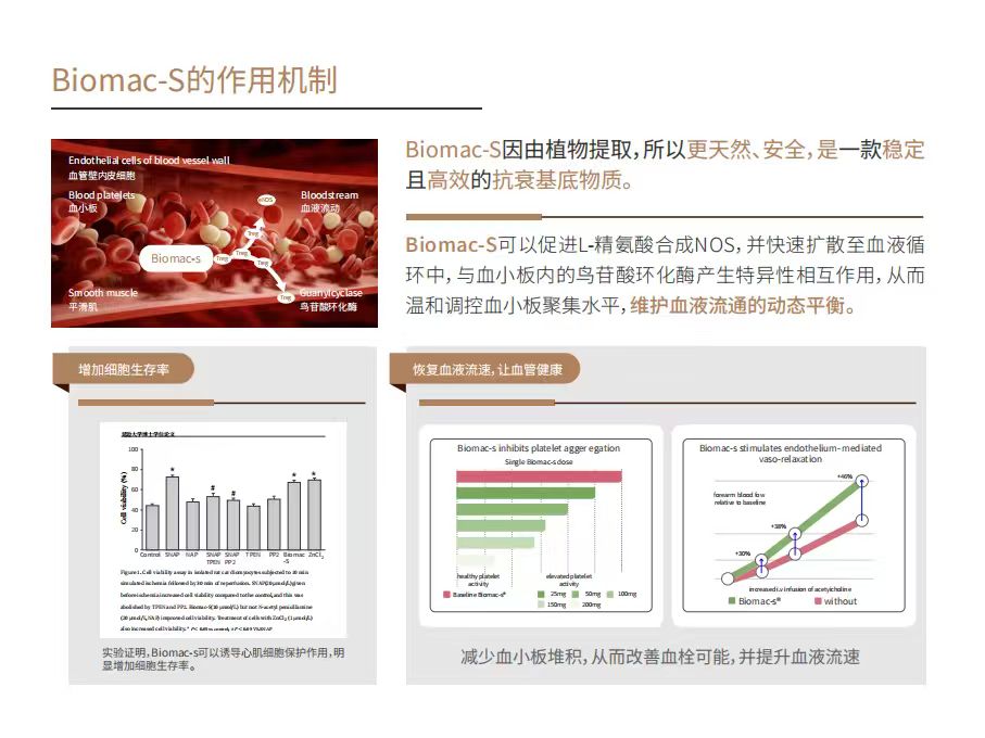 Biomac-S 植物成分组合与相关机制研究资料